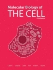 Molecular Biology of the Cell