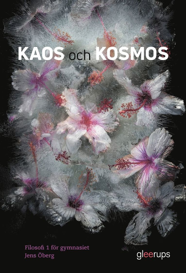 Kaos och kosmos, Filosofi 1, bok, Gy25