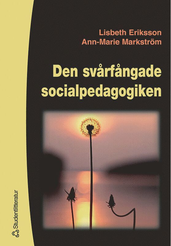 Den svårfångade socialpedagogiken